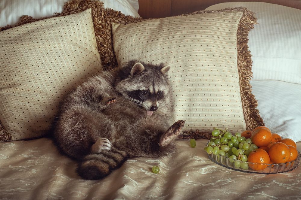 Photograph by Ирина Зайцева