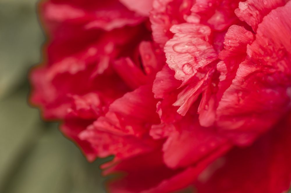 Photograph by anna monteiro correia