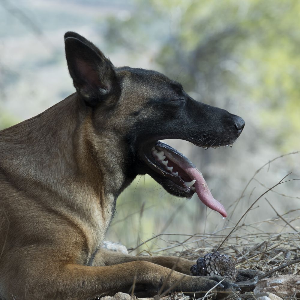 Photograph by Sergey Fomenko