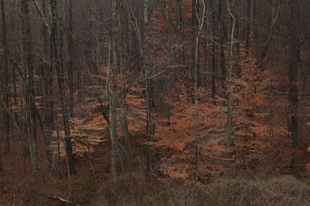 Photograph by Elena Shliachkova