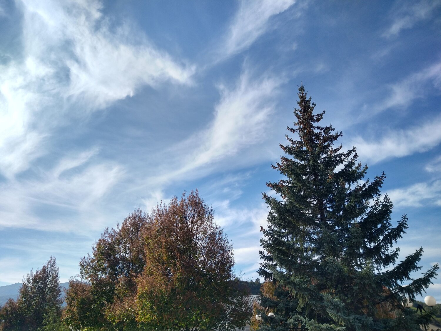 Photo #9659162
