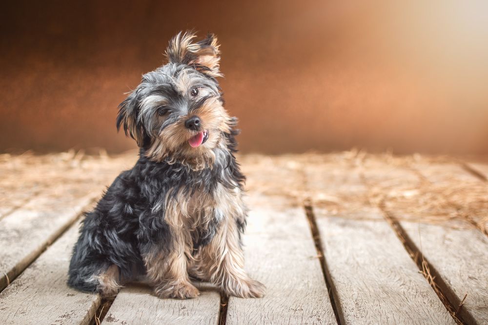 Photograph by Natalia Hidalgo