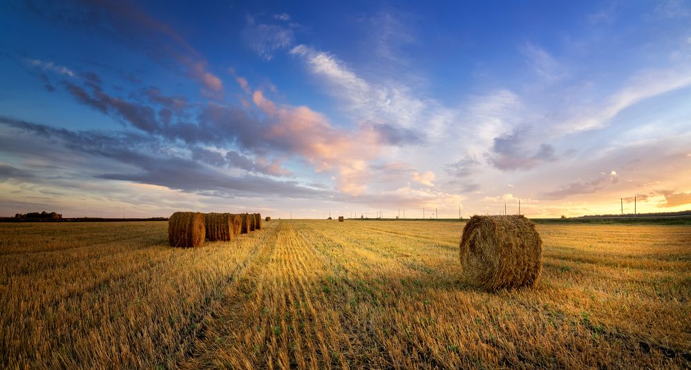 Фотография автора Александр Рудный