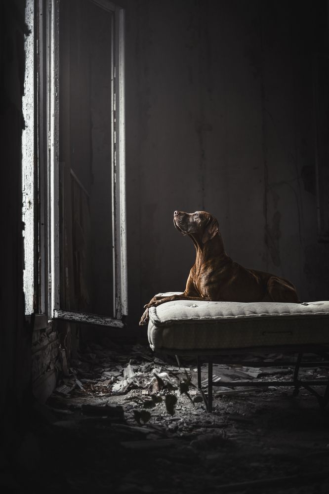 Photograph by Elke Braet