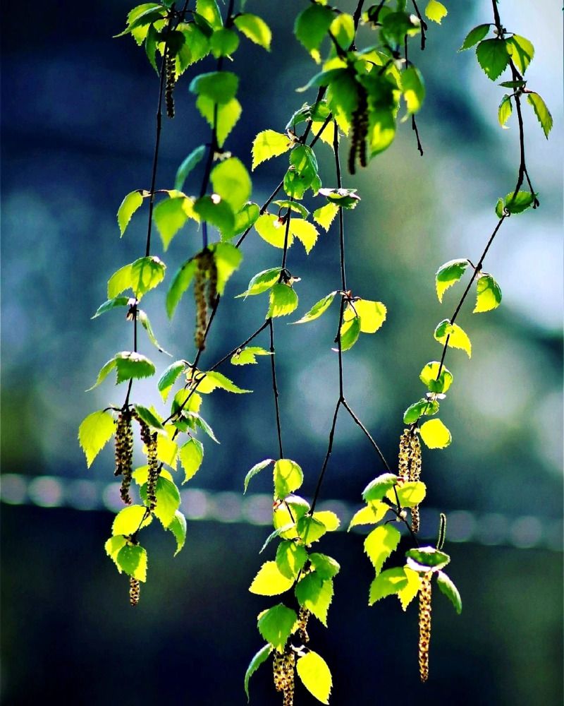 Photograph by Евгения Суслова