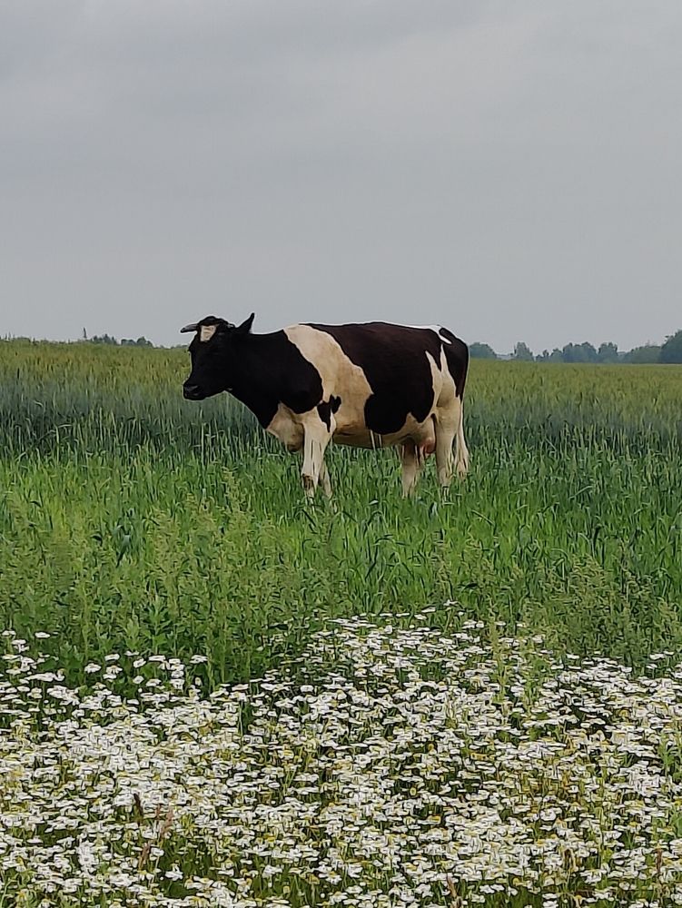 Photograph by Татьяна Гулакова