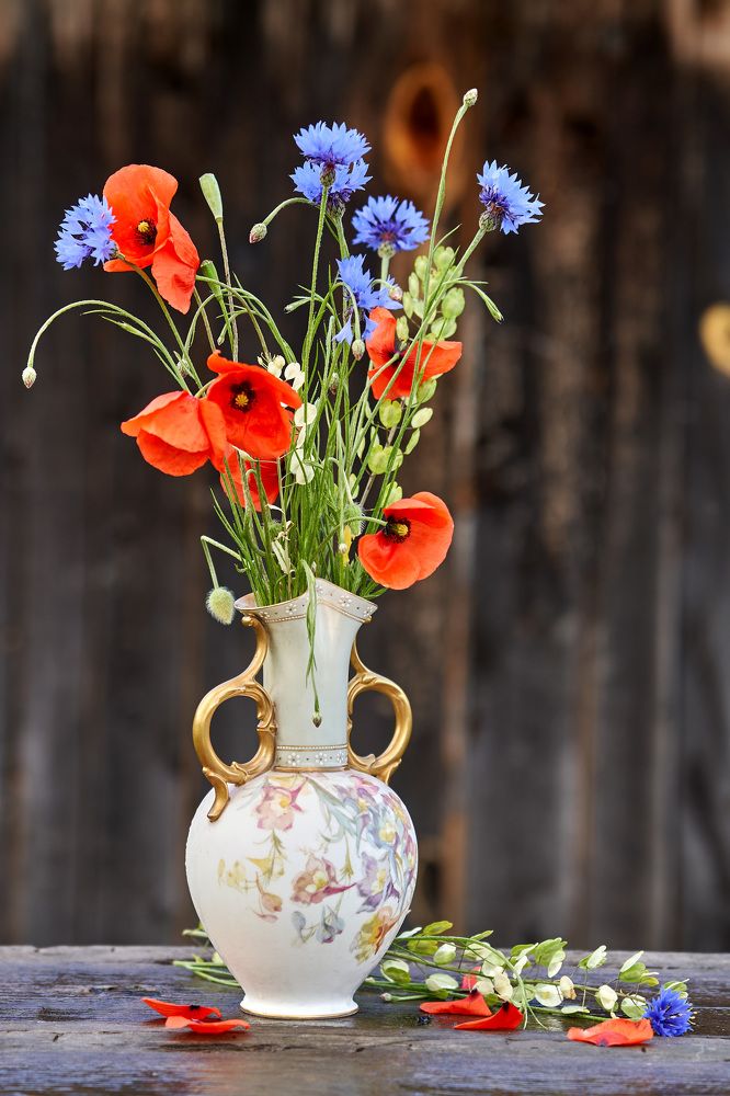 Photograph by Aleksandras Meisutovicius