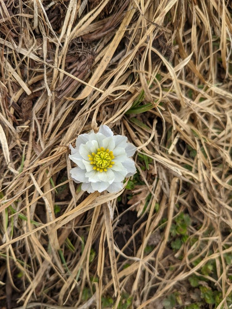 Photograph by Константин Косяков