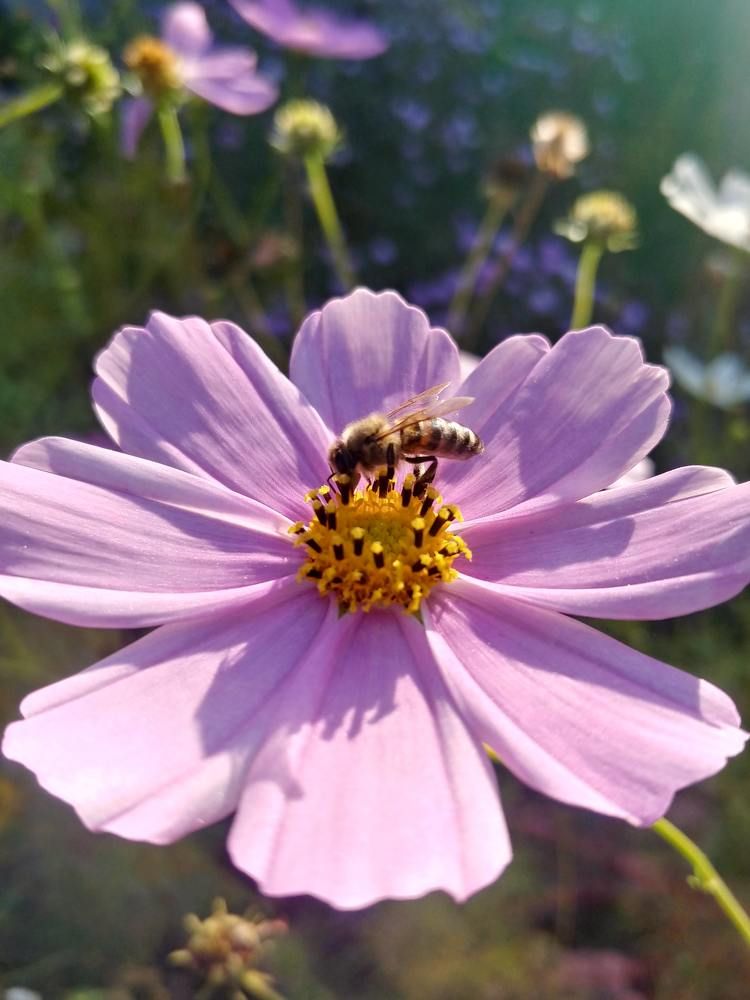 Photograph by Константин Косяков