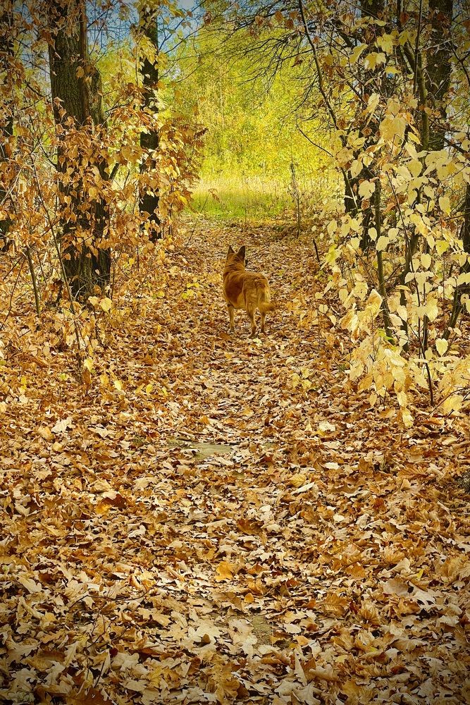 Photograph by Татьяна Мустафина