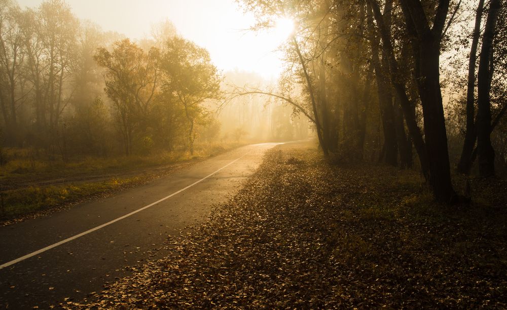 Photograph by Константин Искучеков