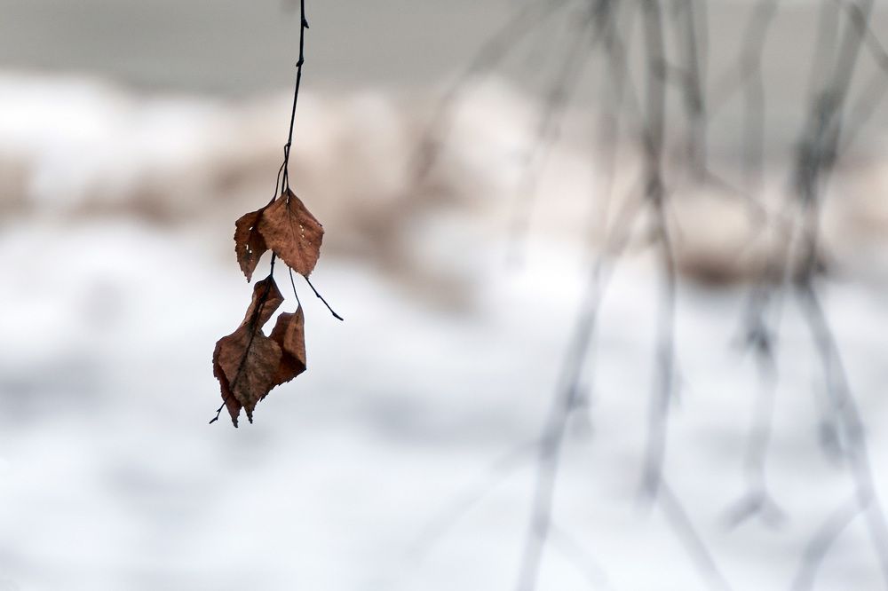 Photograph by Aleksandras Meisutovicius