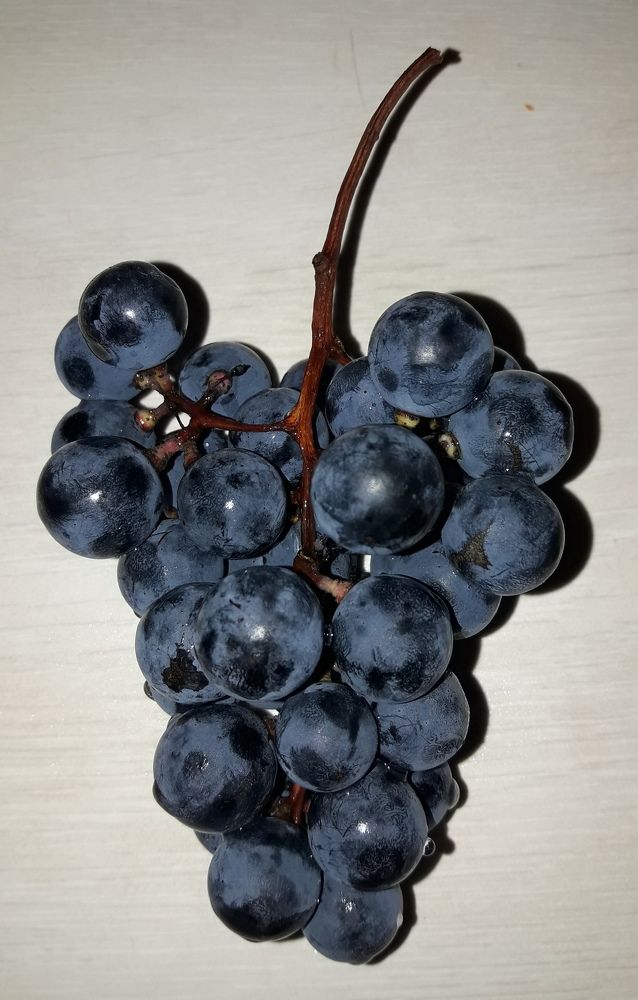 Photograph by Елена Алешкевич