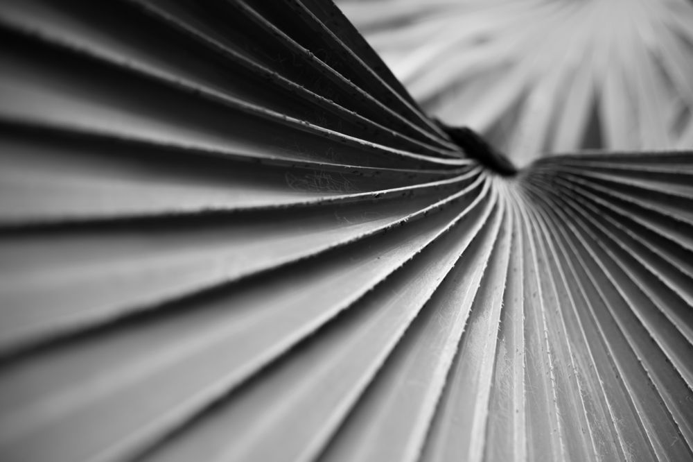 Photograph by Rafael de Oliveira