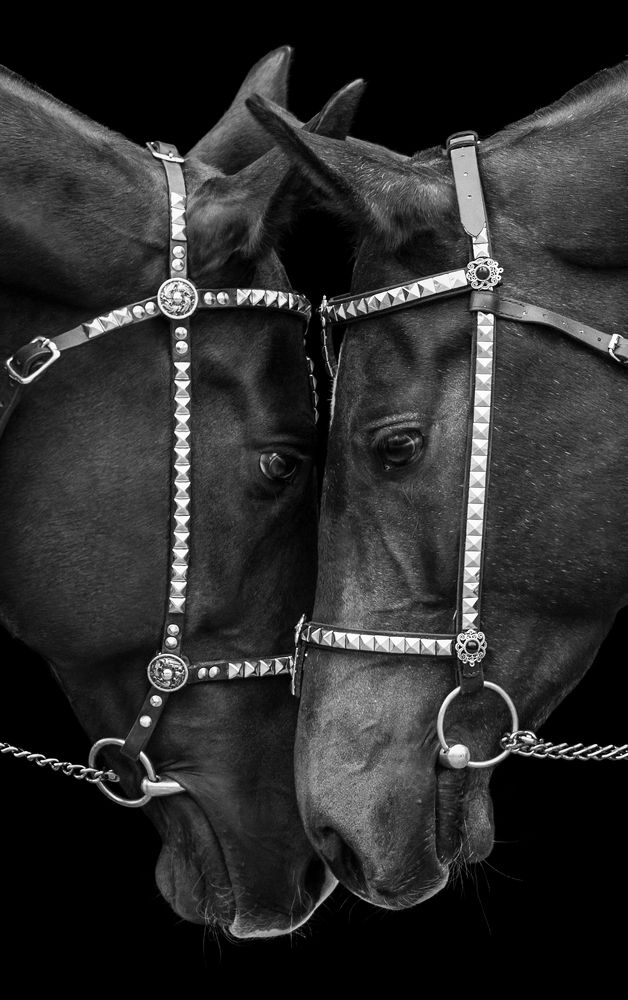 Photograph by Екатерина Михайлова