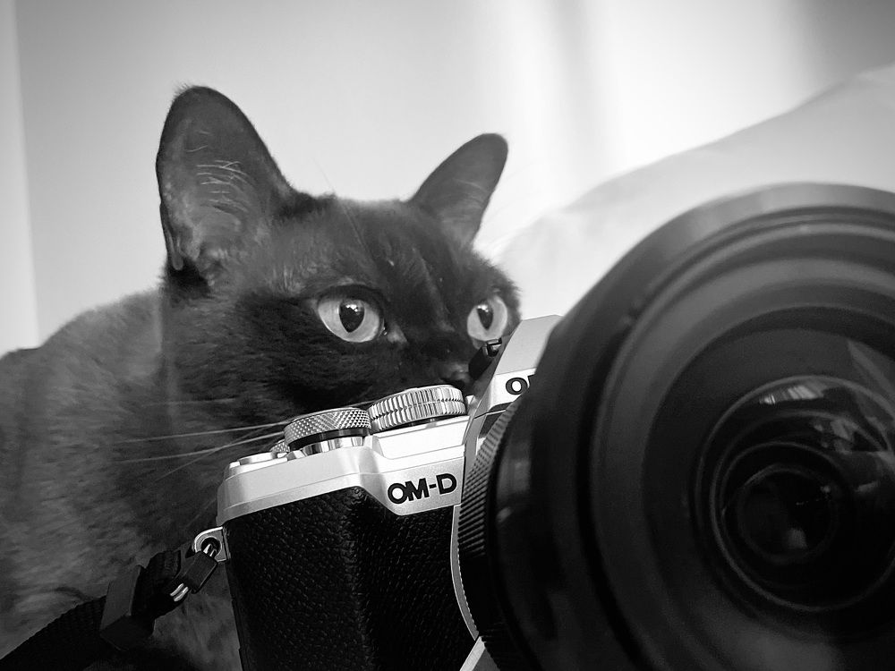 Photograph by Светлана Георкова