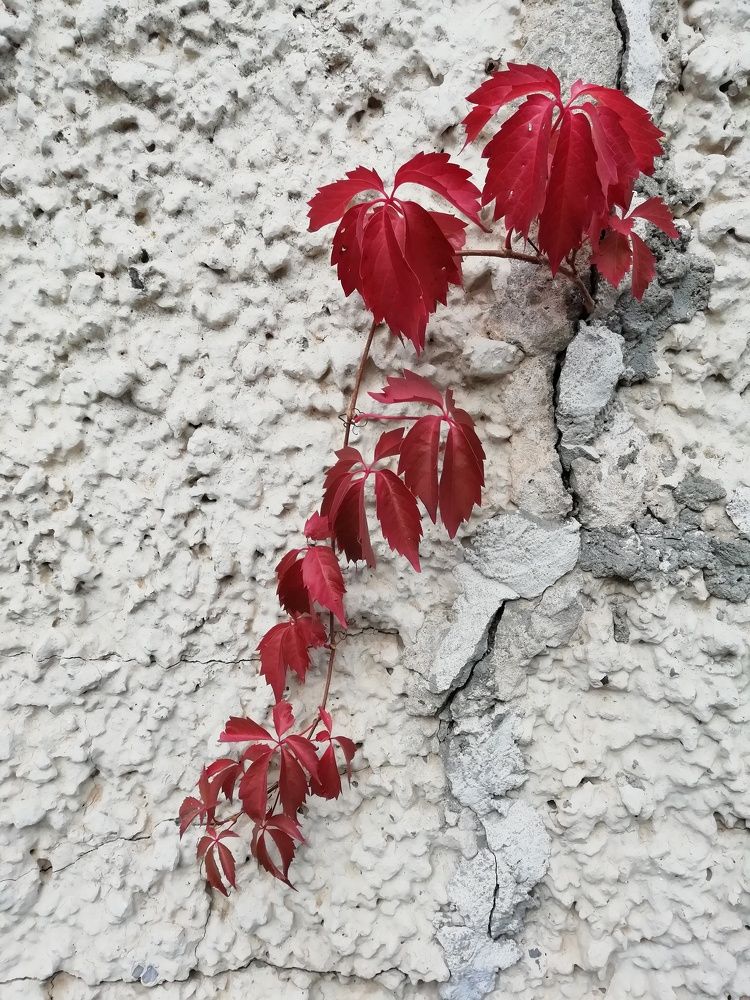 Photograph by Vladimir Rybalko