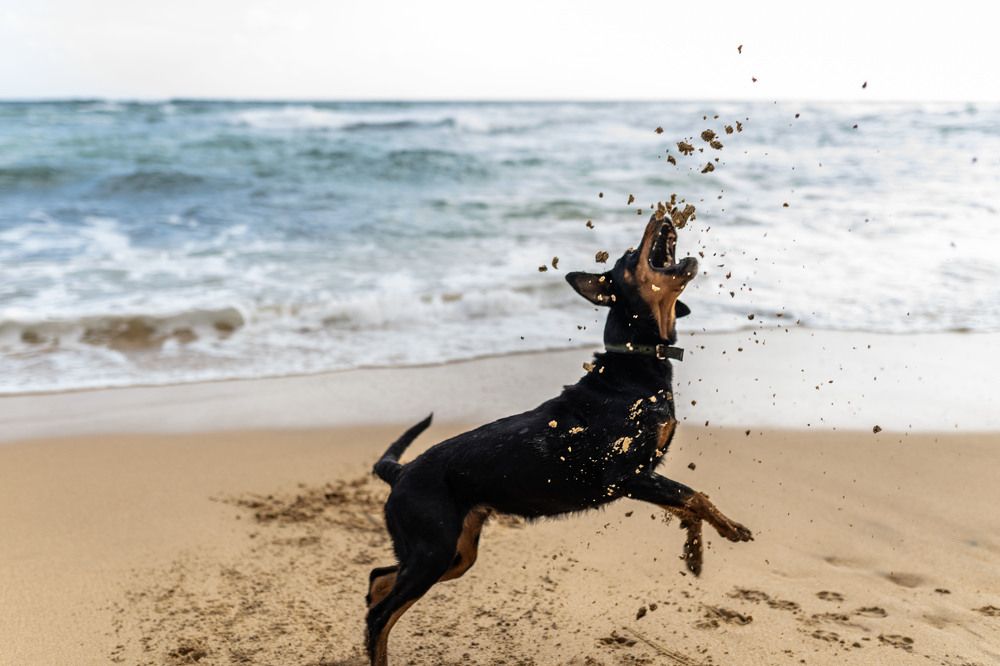 Photograph by Charith Kodagoda