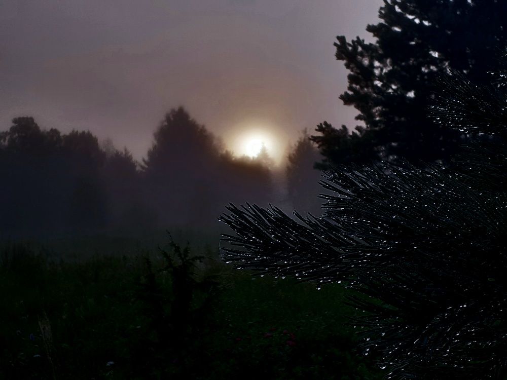 Photograph by 