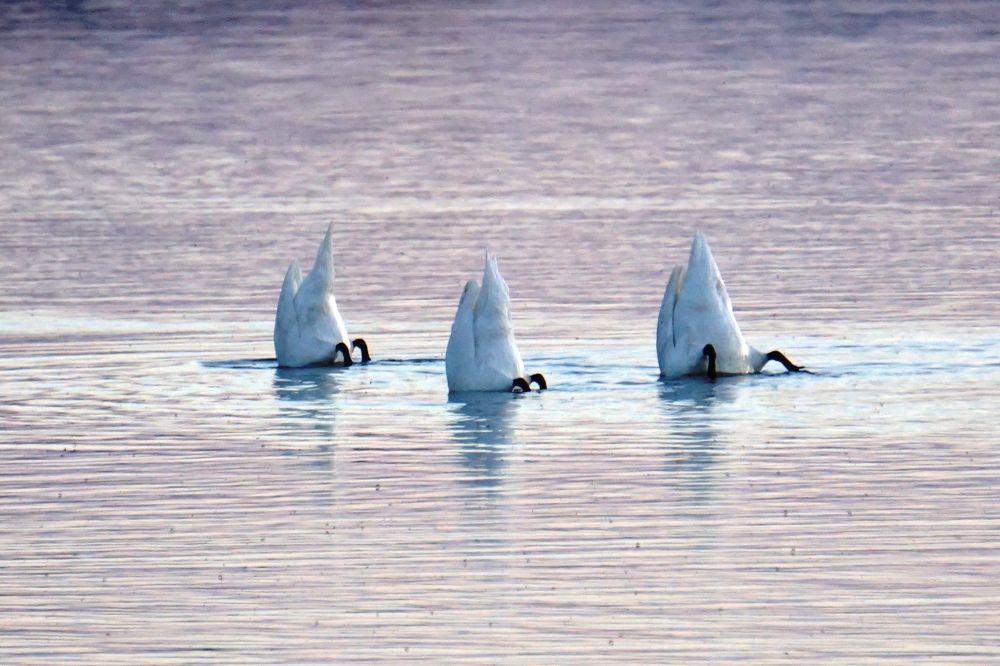 Photograph by Валерий