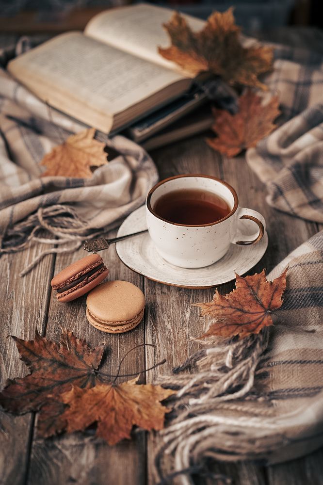 Photograph by Наталья Горохова