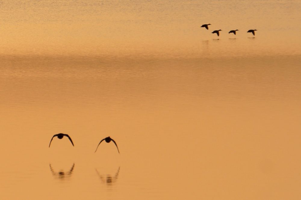 Photograph by Валерий