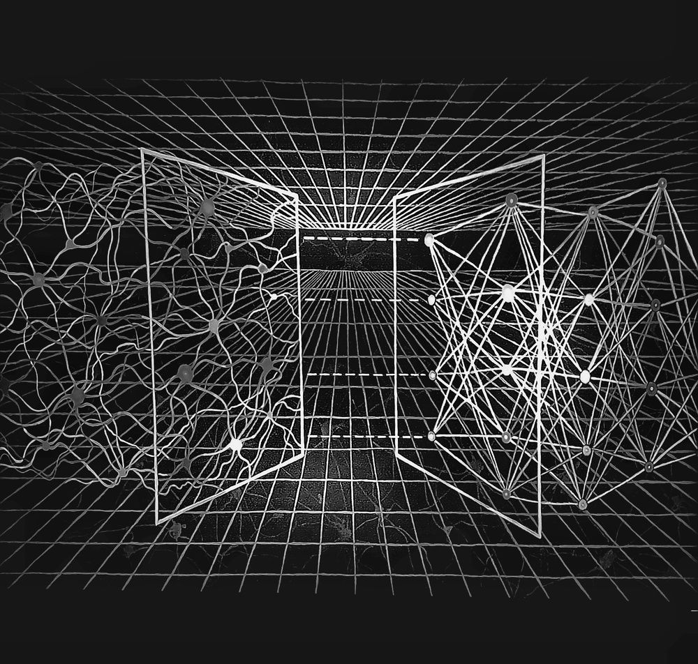 Нейронные взаимодействия.