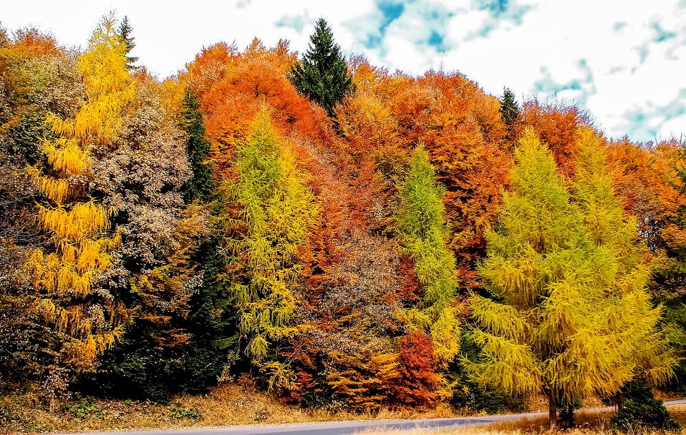 Colors, colors, colors!