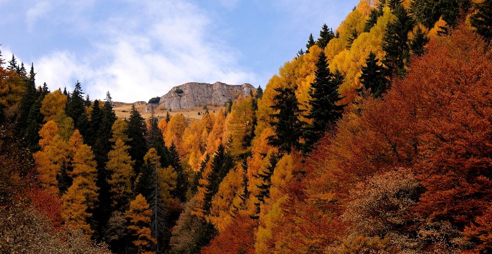 Autumn in the mountains!
