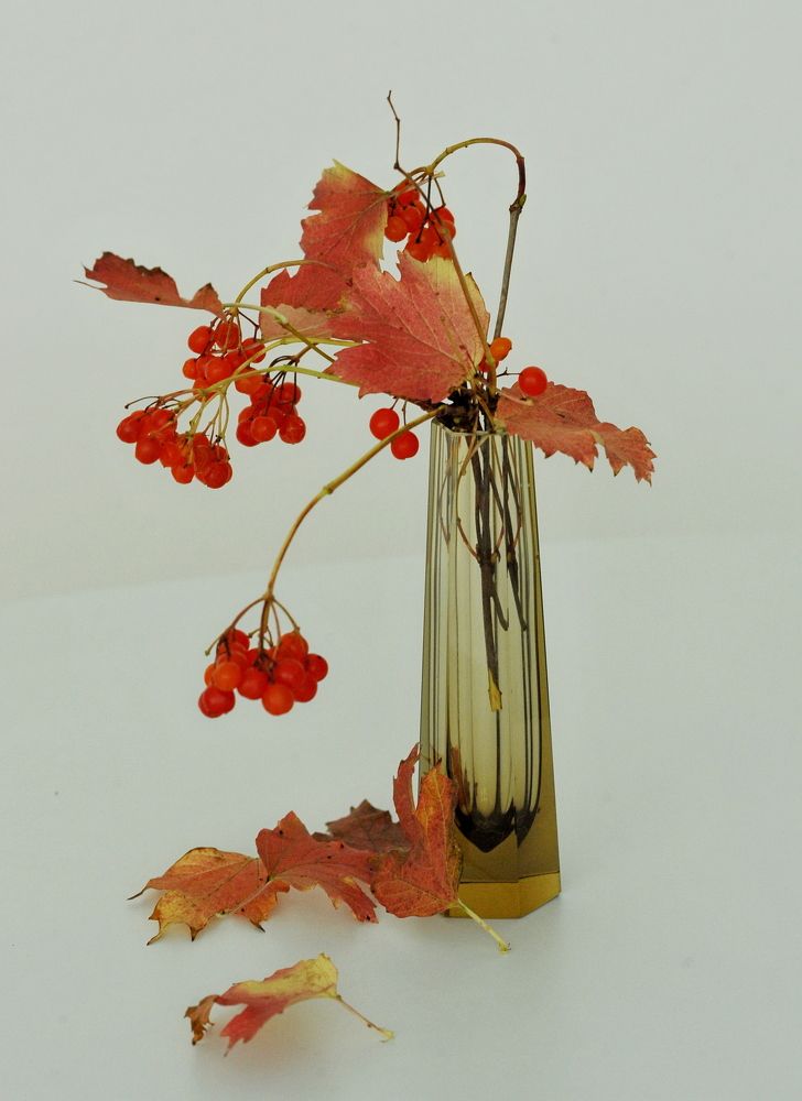 Photograph by Алексей Козлов