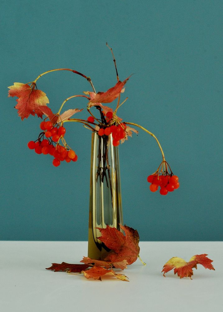 Photograph by Алексей Козлов