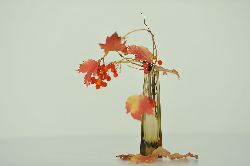 Photograph by Алексей Козлов