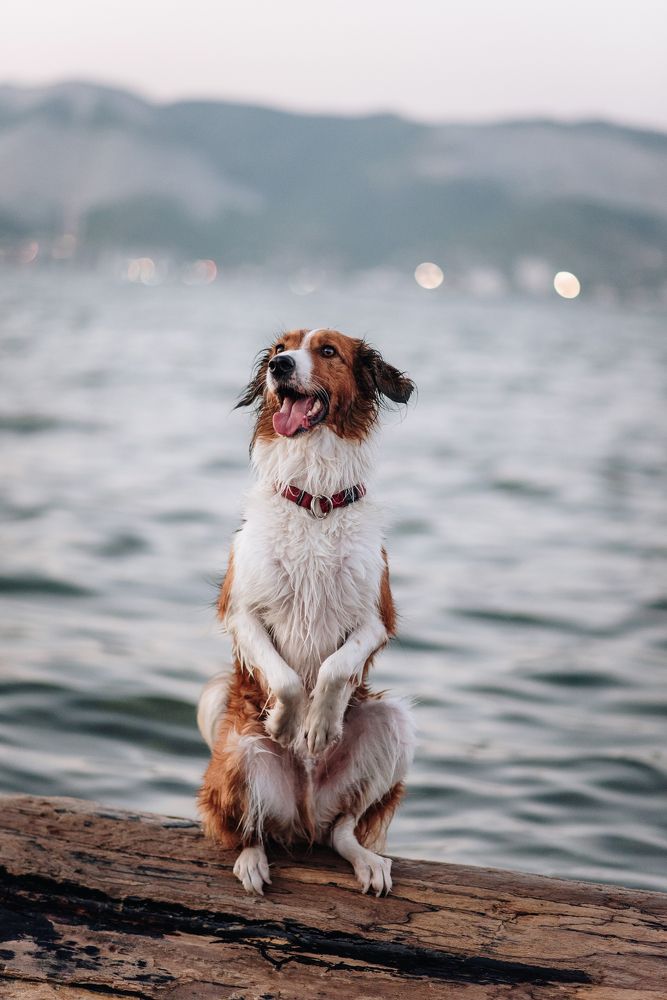 Photograph by Анастасия Герасимова