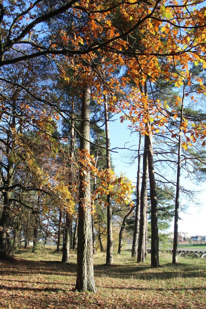 Photograph by Наталья Резванова