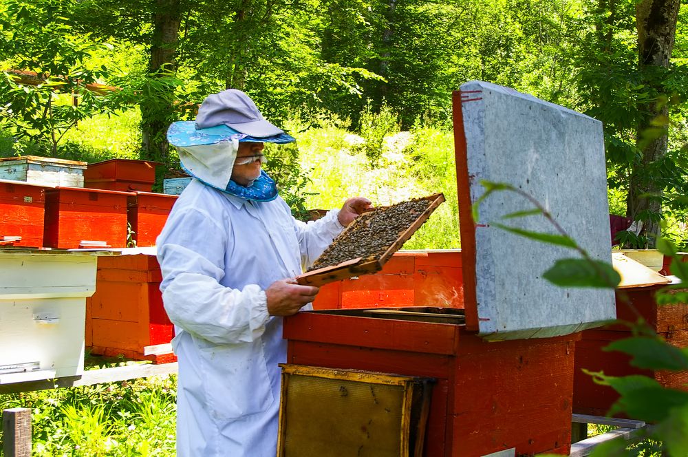 Photograph by Роман Приходько