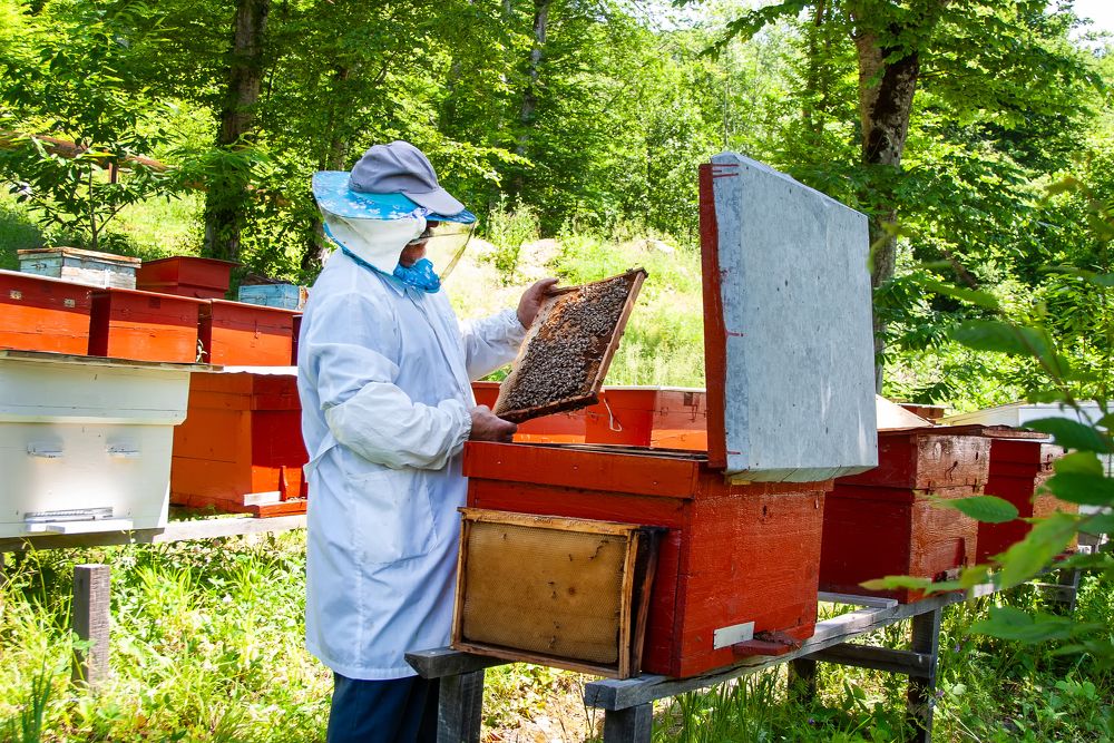 Photograph by Роман Приходько