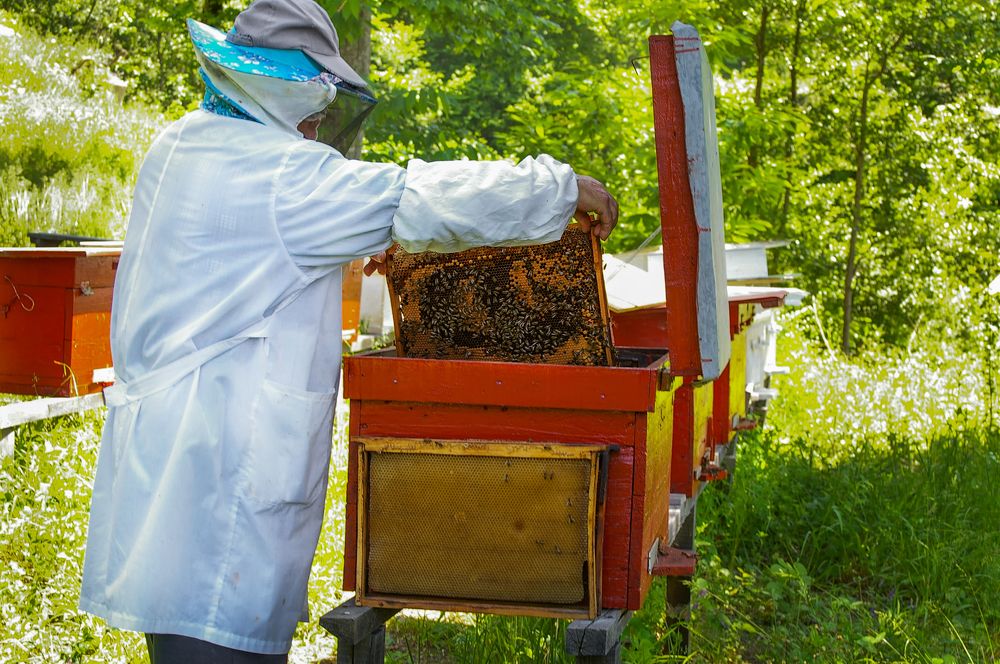 Photograph by Роман Приходько