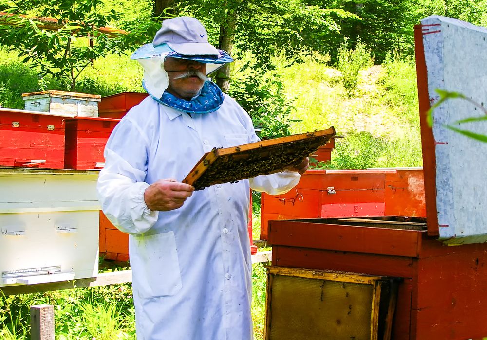 Photograph by Роман Приходько