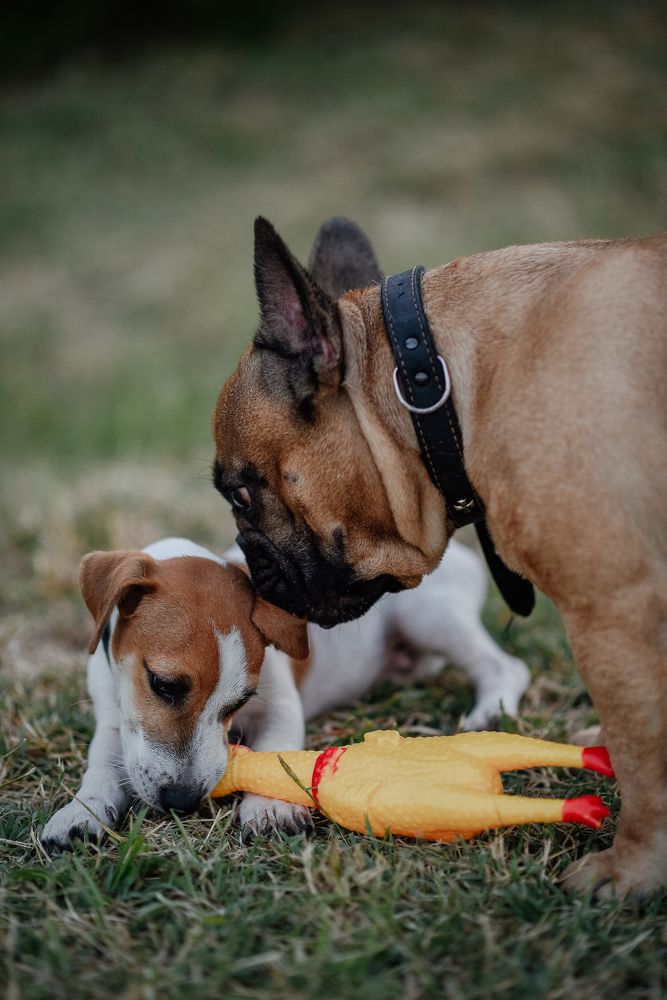 Photograph by Анастасия Герасимова