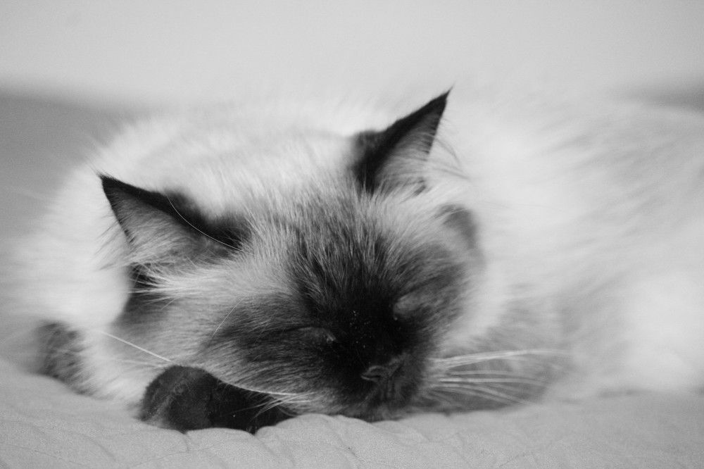 Photograph by Наталья Резванова