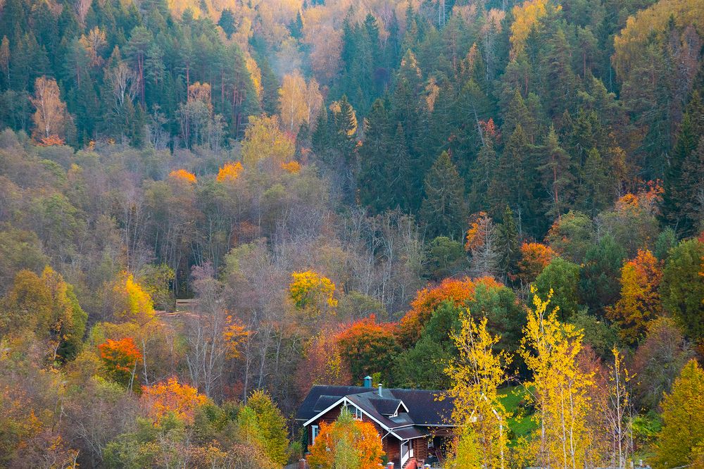 Photograph by Чудинин Дмитрий