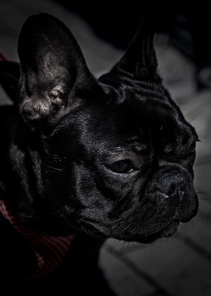 Photograph by Aljona Dyachenko