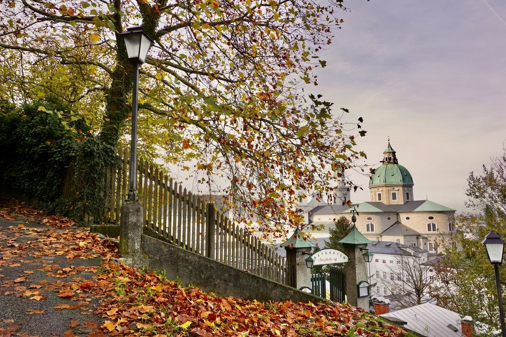 Фотография автора Liudmila Kiermeier