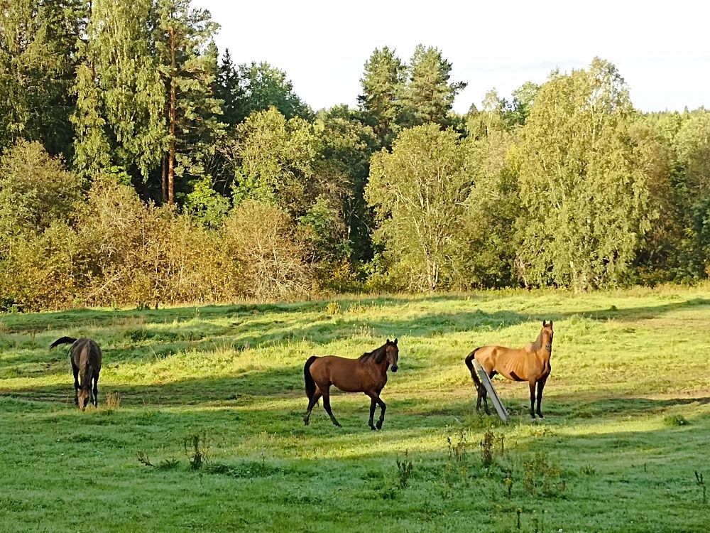 Photograph by Наталья Резванова