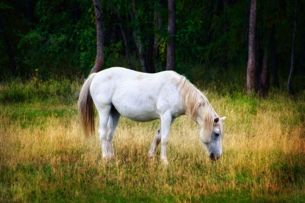 Photograph by Виктория Лобанова