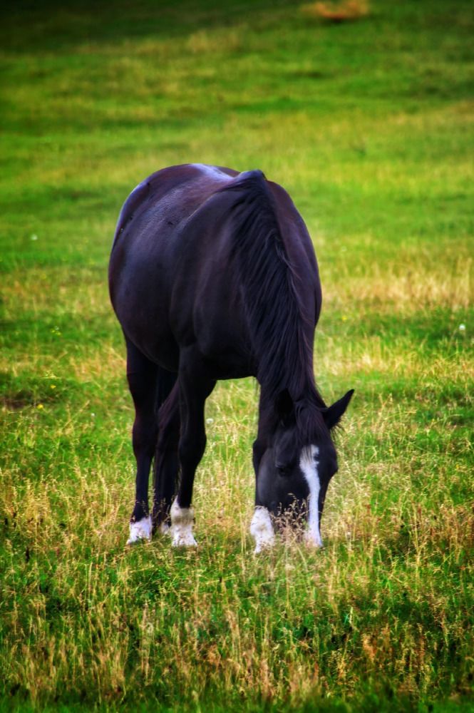 Photograph by Виктория Лобанова