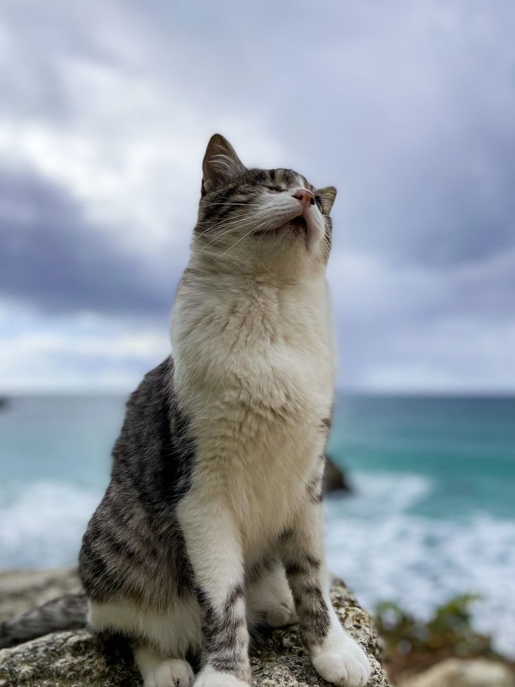 Photograph by Елизавета