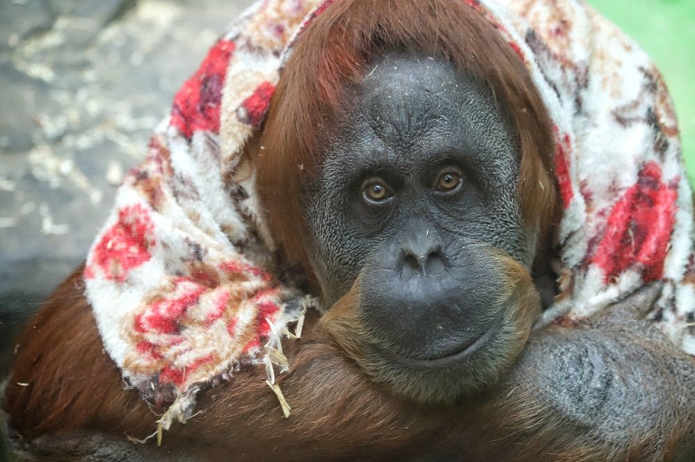 Photograph by Елена Кириллова