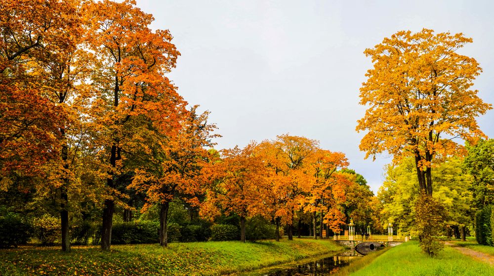 Photograph by Михаил Бояркин