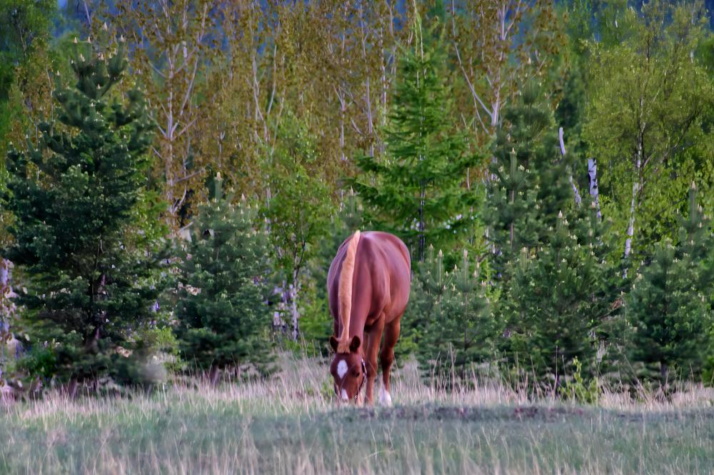Photograph by Виктория Лобанова
